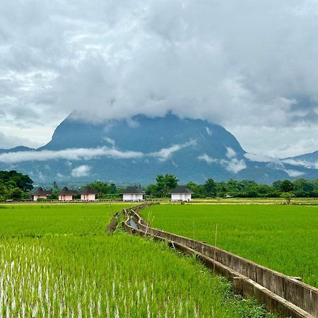 Willa Baan Porhdoi Goidao Chiang Dao Zewnętrze zdjęcie