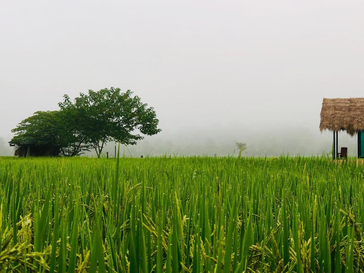 Willa Baan Porhdoi Goidao Chiang Dao Zewnętrze zdjęcie