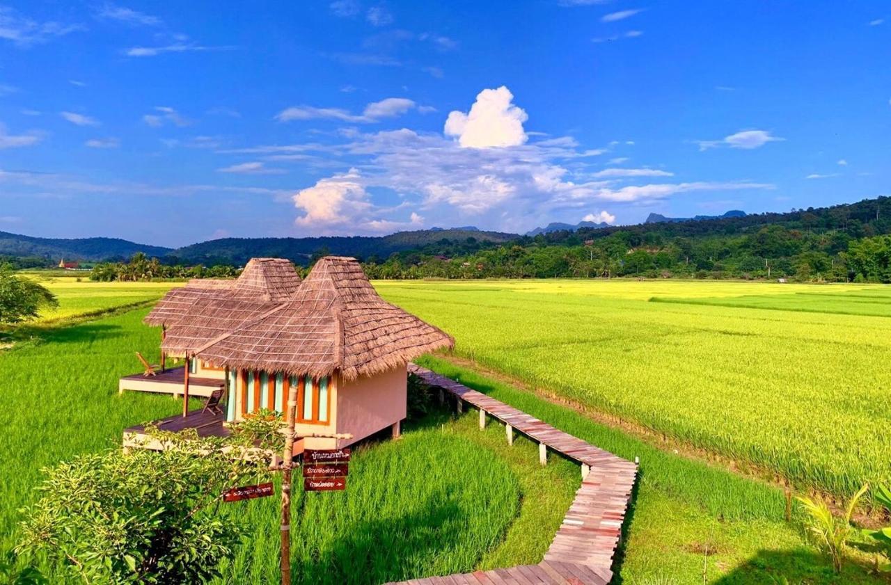 Willa Baan Porhdoi Goidao Chiang Dao Zewnętrze zdjęcie