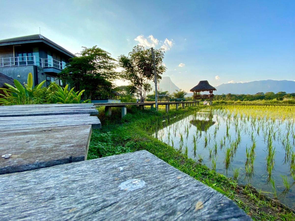 Willa Baan Porhdoi Goidao Chiang Dao Zewnętrze zdjęcie