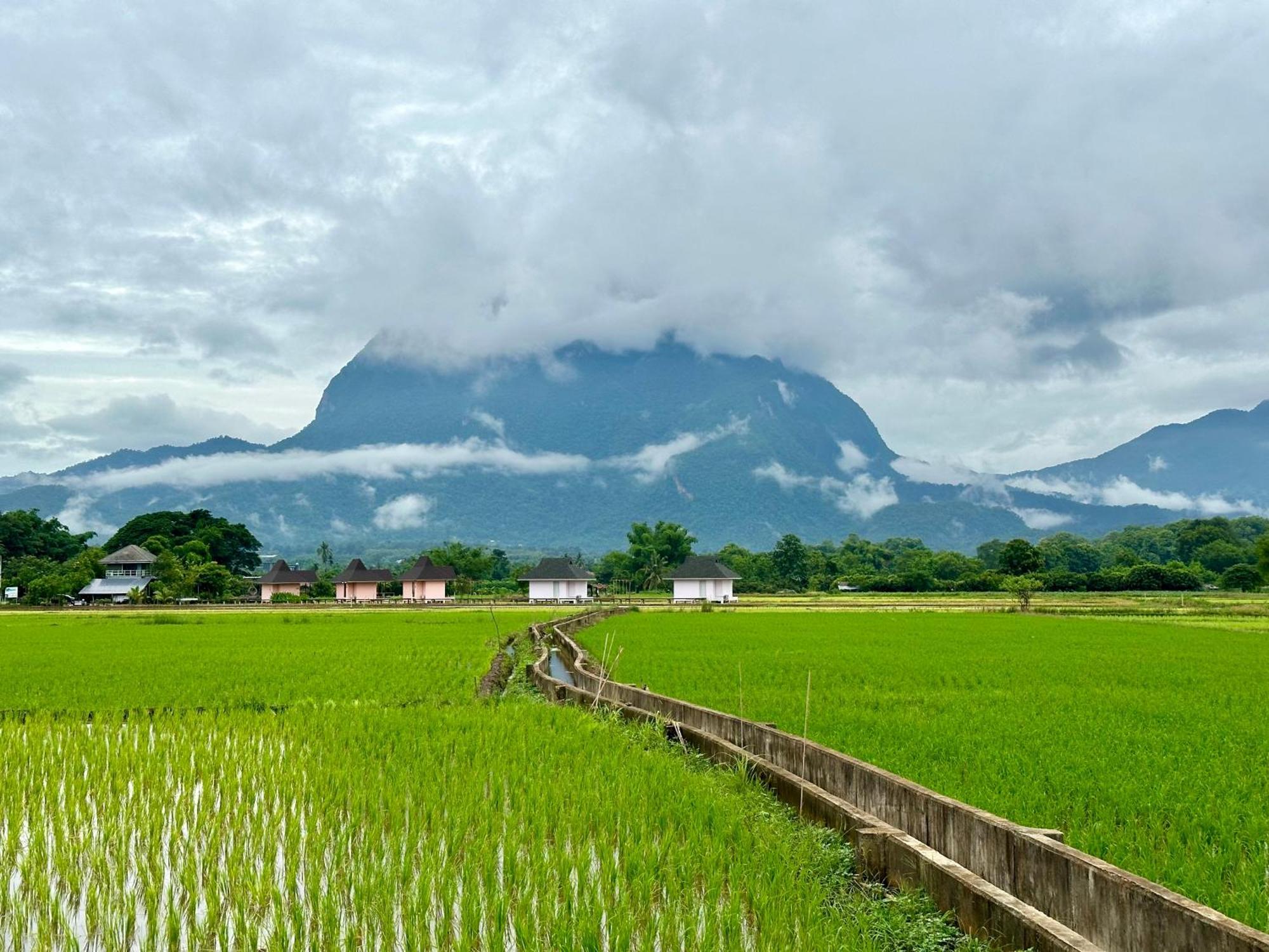 Willa Baan Porhdoi Goidao Chiang Dao Zewnętrze zdjęcie